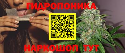шишки Старая Купавна