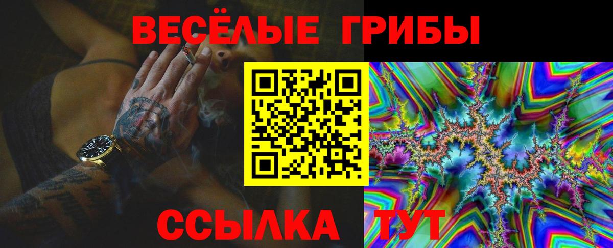 Новодвинск  Псилоцибиновые грибы Magic Shrooms  Вход с VPN 