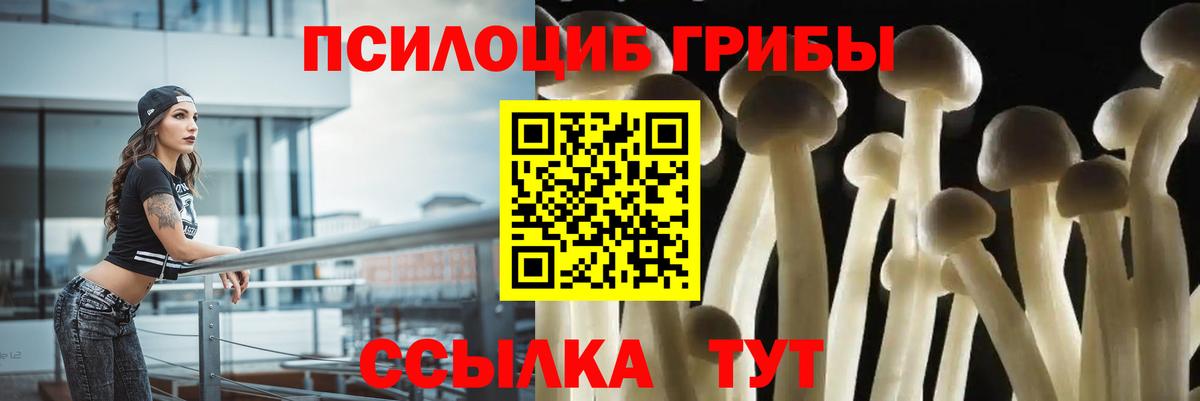 Галлюциногенные грибы мицелий Новодвинск